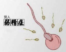 备孕期发现精子成活率低怎么办?