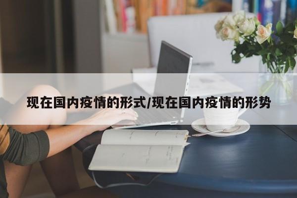现在国内疫情的形式/现在国内疫情的形势