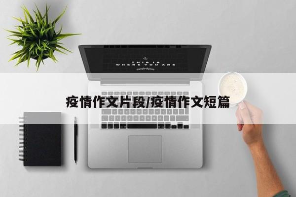 疫情作文片段/疫情作文短篇